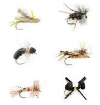 Fulling Mill Terrestrial Selection